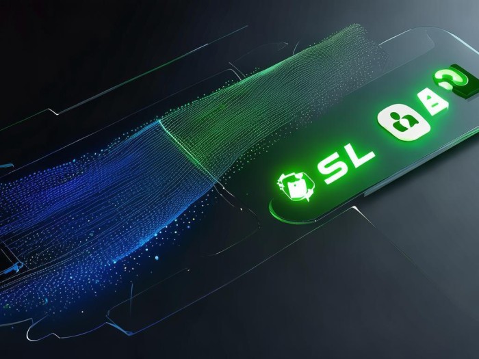 Token钱包防护有多关键？安全措施与加密手段缺一不可